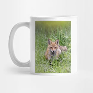 Red fox mama Mug